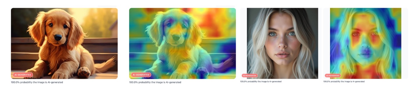 Project preview: Deepfake Detection